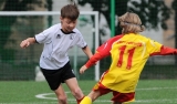 Turniej Mini-EM Cup 2013